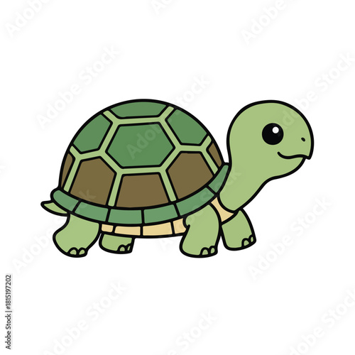 Cute Green Turtle Cartoon Illustration