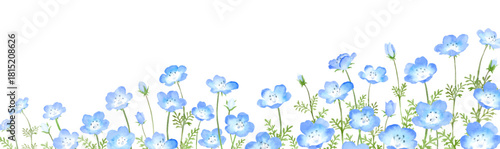 水彩で描いたネモフィラ畑