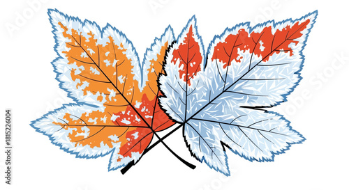 Two Autumn Maple Leaves with Contrasting Colors. Vector Illustrations. EPS Editable