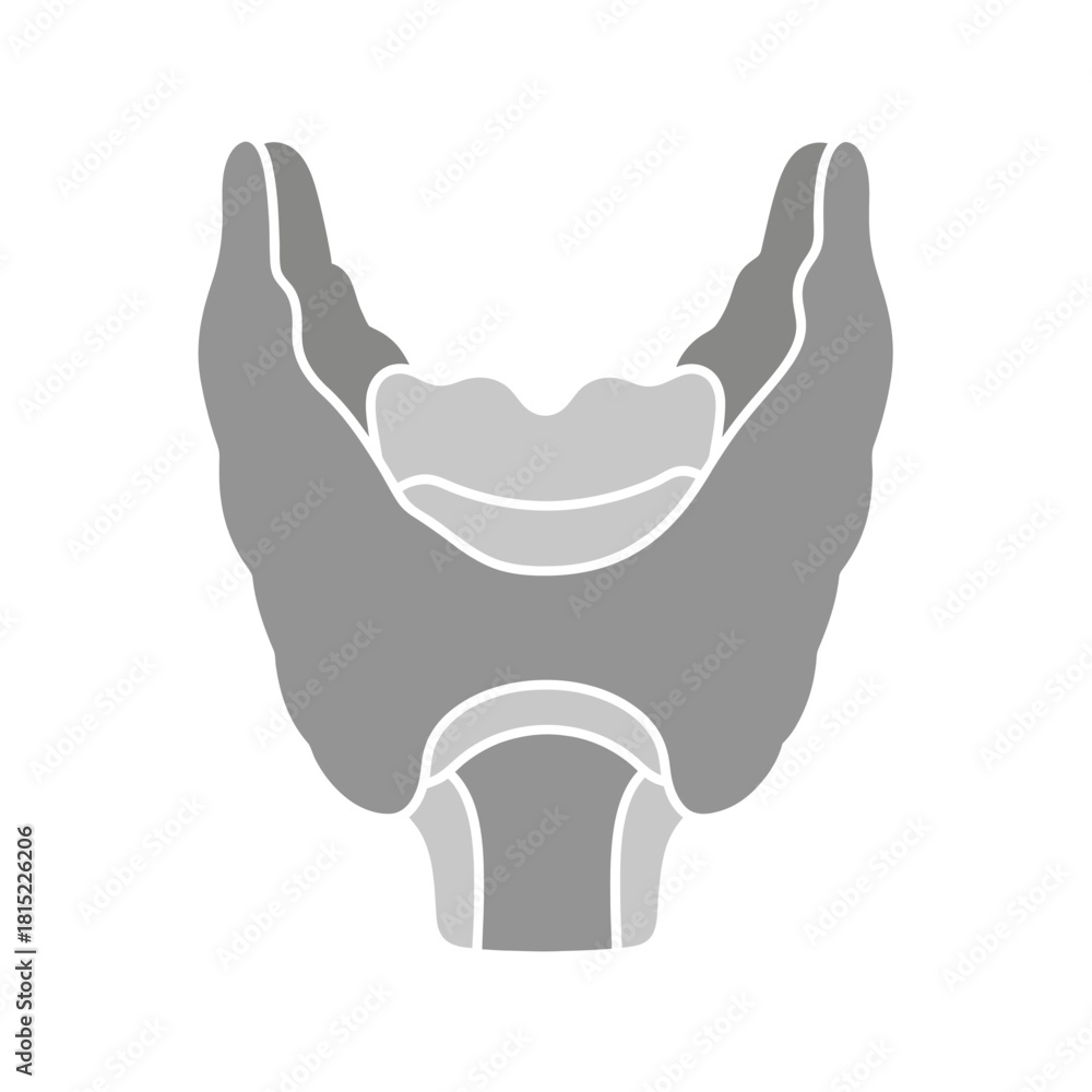 Fototapeta premium Stylized illustration of the human thyroid gland in grayscale. Vector Illustrations. EPS Editable