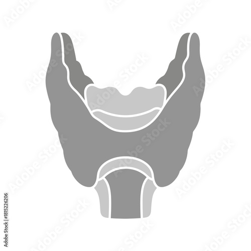 Stylized illustration of the human thyroid gland in grayscale. Vector Illustrations. EPS Editable