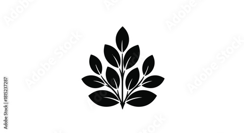 Elegant black botanical silhouette with delicate leaves on a clean white background
