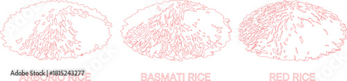 Outlined Illustration Depicting Arborio, Basmati, and Red Rice Varieties on a White Background