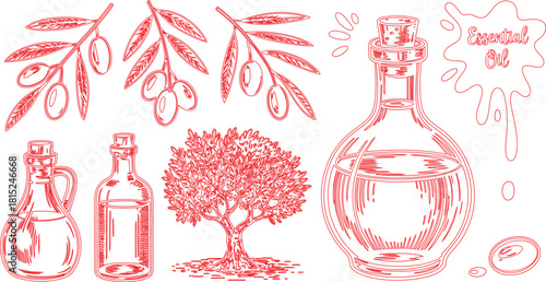Red Ink Sketch Olive Branches, Tree, Bottles, and Essential Oil Splash on White Background
