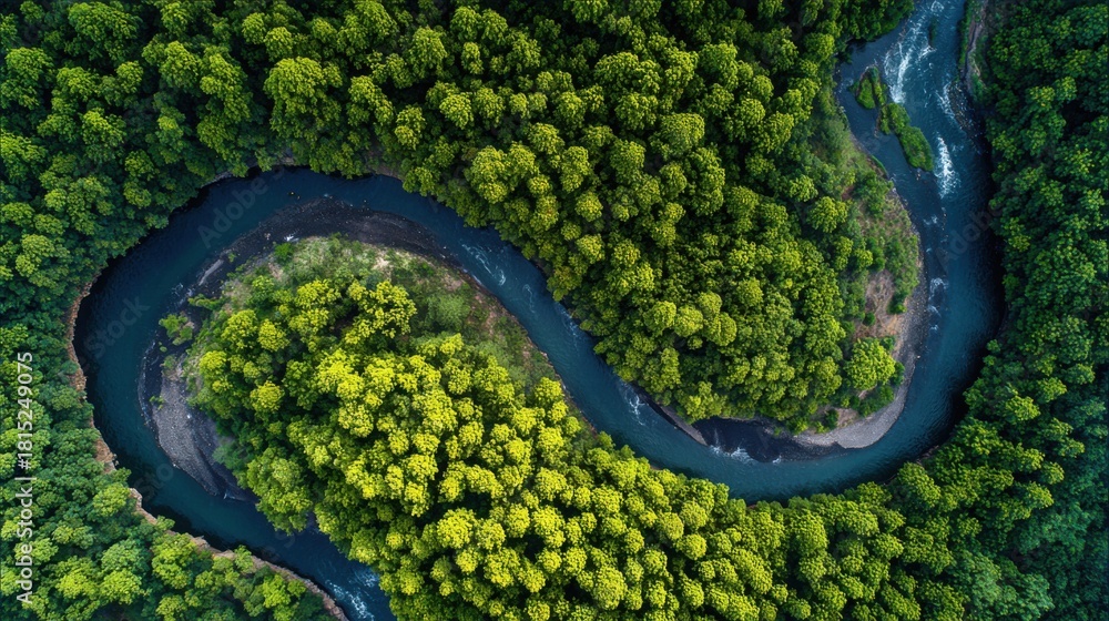 Fototapeta premium Aerial View of a Winding River Surrounded by Lush Green Forest in Bright Daylight