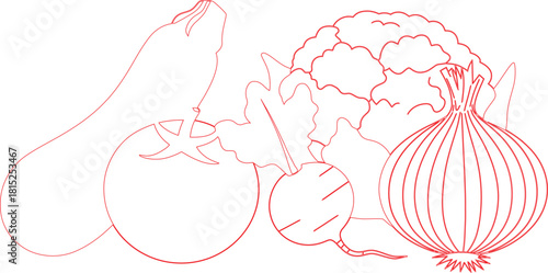 Red Outline Drawing of Assorted Vegetables Eggplant, Tomato, Cauliflower, Beet, and Onion Fresh Produce
