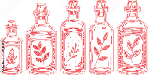 Red Outline Drawing of Five Corked Glass Bottles with Botanical Designs on White