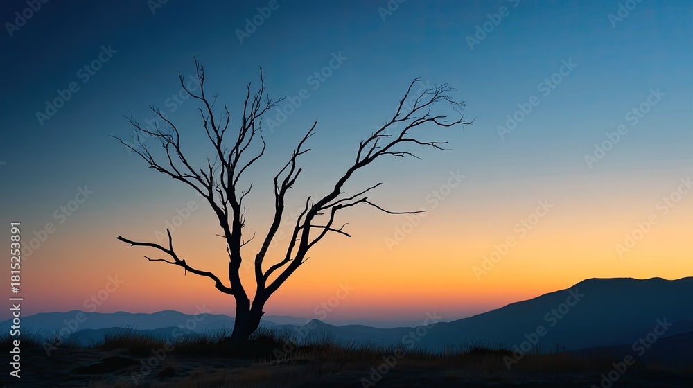 Fototapeta premium Silhouetted Dead Tree Against Vibrant Sunrise Sky with Mountains