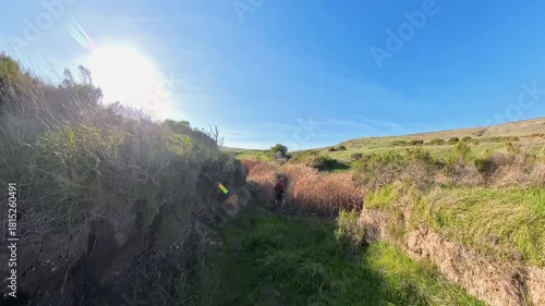 Man Wades Through Watery Grasses on Trail in Channel Islands
