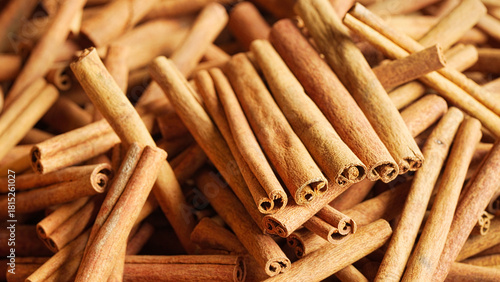 closeup, indonesian cinnamon sticks from cinnanomum burmanii, sumatra, indonesia