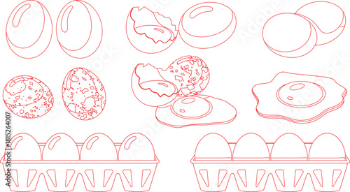 Red Outline Illustration Chicken Eggs, Fried Egg, Broken Eggs, Egg Carton, Variety of Stages