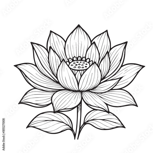 A minimalist black and white vector shows a lotus flower in full bloom, using bold outlines and soft contours to convey purity, balance, and a timeless sense of natural harmony.