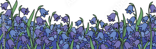 Blue Bell Flowers Border Illustration With Green Stems And White Background