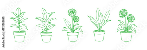 Potted indoor plant. Collection of sketches in black and white. Outlines of rubber trees, gerberas, a tree, and a cactus. Vector doodle line art set.

