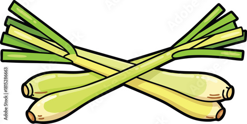 Illustration of Fresh Lemongrass Stalks with Green Leaves and Yellow Bulbs Crossed Isolated on White
