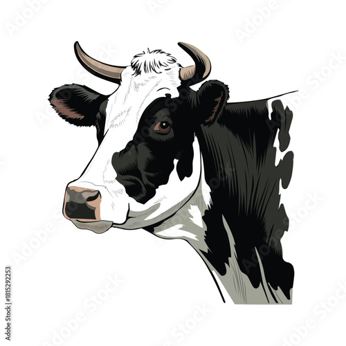cow vector illustration design