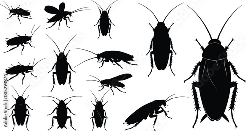 Collection of Roaches in Different Poses, Representing Pests, Infestation, Hygiene, and Entomology Vector.