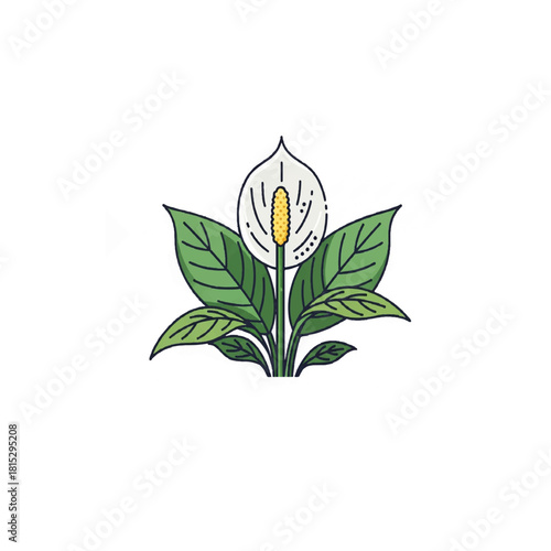 Elegant Peace Lily Houseplant Botanical Icon