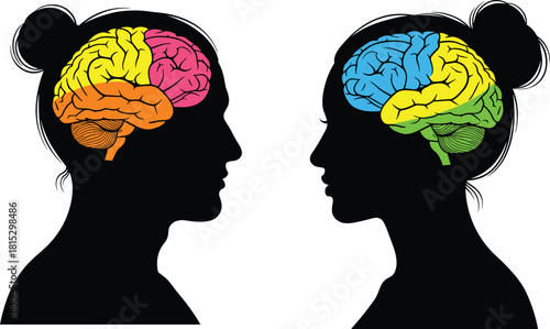 Male and Female Brain Difference Illustration Anatomy Cognitive Psychology Gender Study Functionality Mind Science Color Vector Graphic.