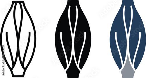 Three Styles of Muscle Icon Outline Silhouette and Color , , medical, science, health, human body, biology