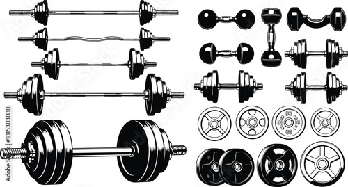 Illustration of various gym dumbbells, barbells, weight plates, and fitness equipment arranged in detailed black and white style for workout design