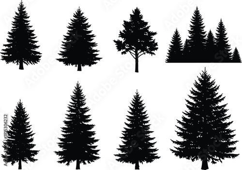 Detailed coniferous tree silhouette set, black pine, spruce, and fir forest shapes, realistic nature landscape elements, vector illustration.