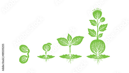 Development stages. All white outlines are trimmed from the icons and blended so the background can be seen through.

