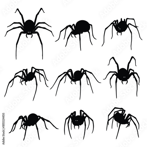 Black silhouette of nine different spider illustrations in various poses isolated on