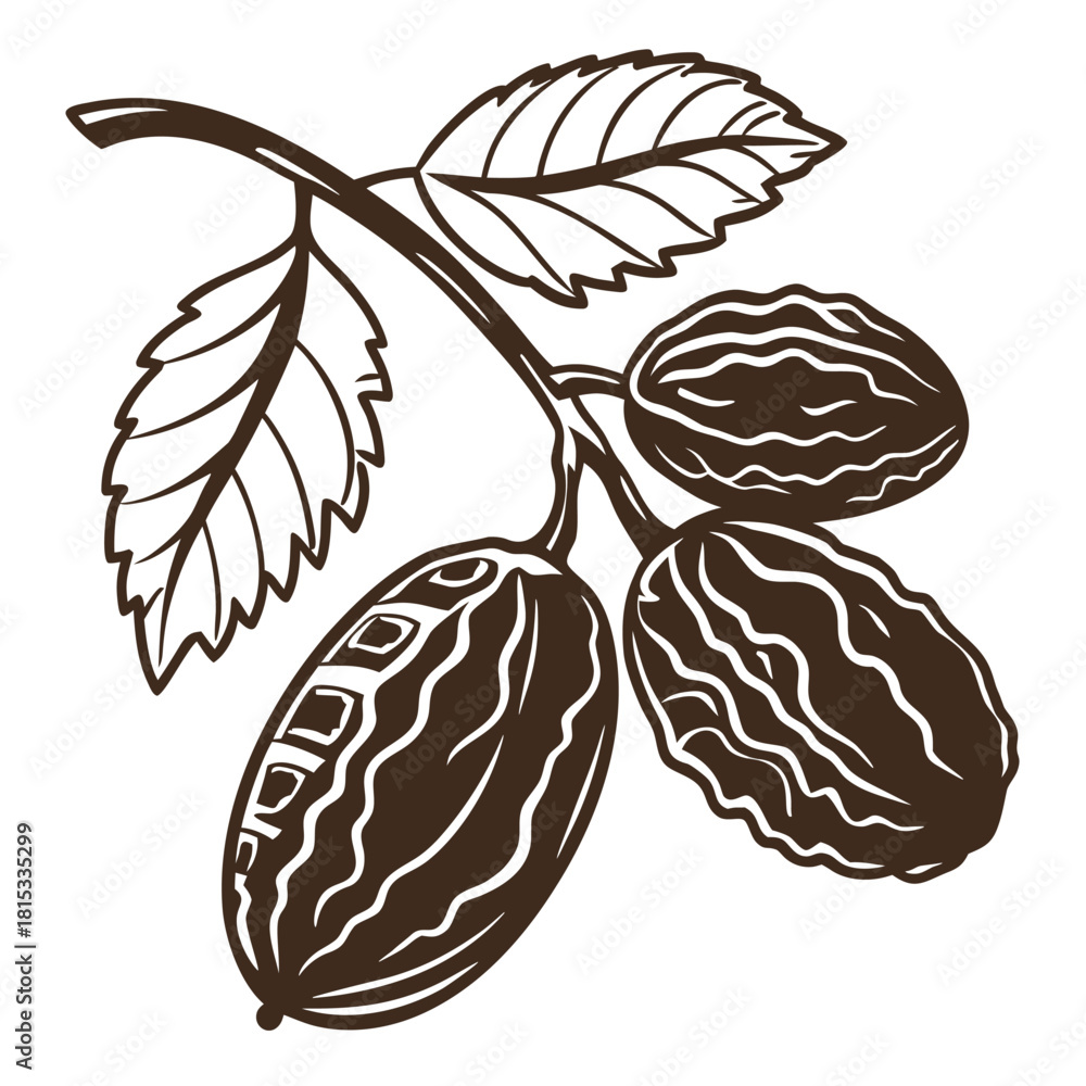 Fototapeta premium raisin on white background