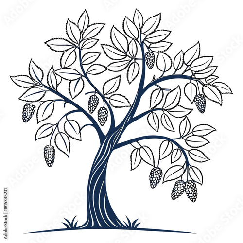 raisin tree vector