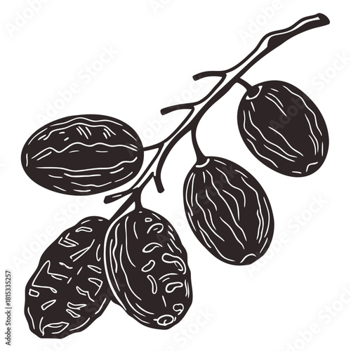 raisin vector
