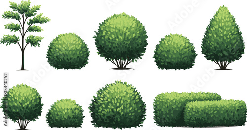 Set of Green Garden Bushes, Shrubs, Trees and Hedges Vector Illustration for Landscaping and Nature Design.