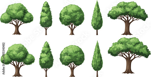 Vector collection of green forest trees including oak and cypress for game design, nature landscape, and environmental background scenes.