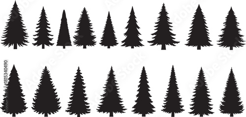 Set of realistic black silhouette pine and fir trees in various sizes pine tree spruce tree