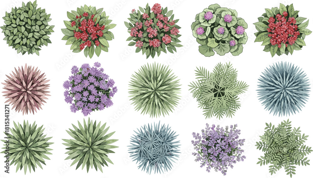 Fototapeta premium Vector collection of top view plants including succulents and flowering bushes for landscape architecture plans and garden design layouts.