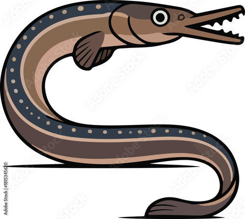 Needlefish vector illustration of a long slender marine fish with a pointed snout and brown markings