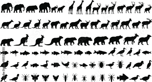 Animal silhouette collection, wildlife vector icons, black animal shapes, species diversity illustration, nature classification chart, educational animal graphic, zoology reference design