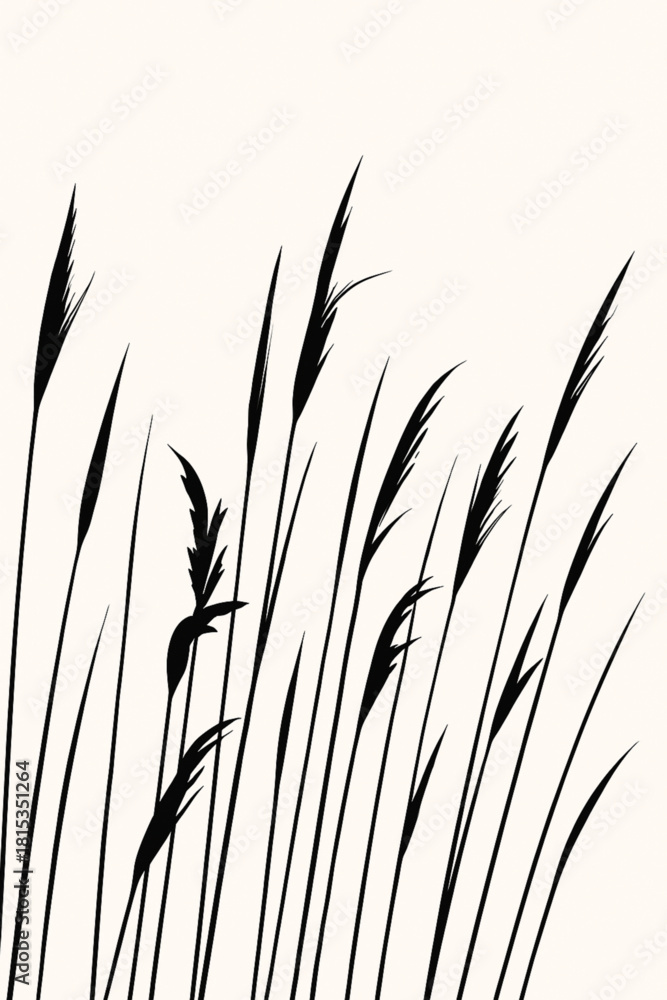 Fototapeta premium Nádas