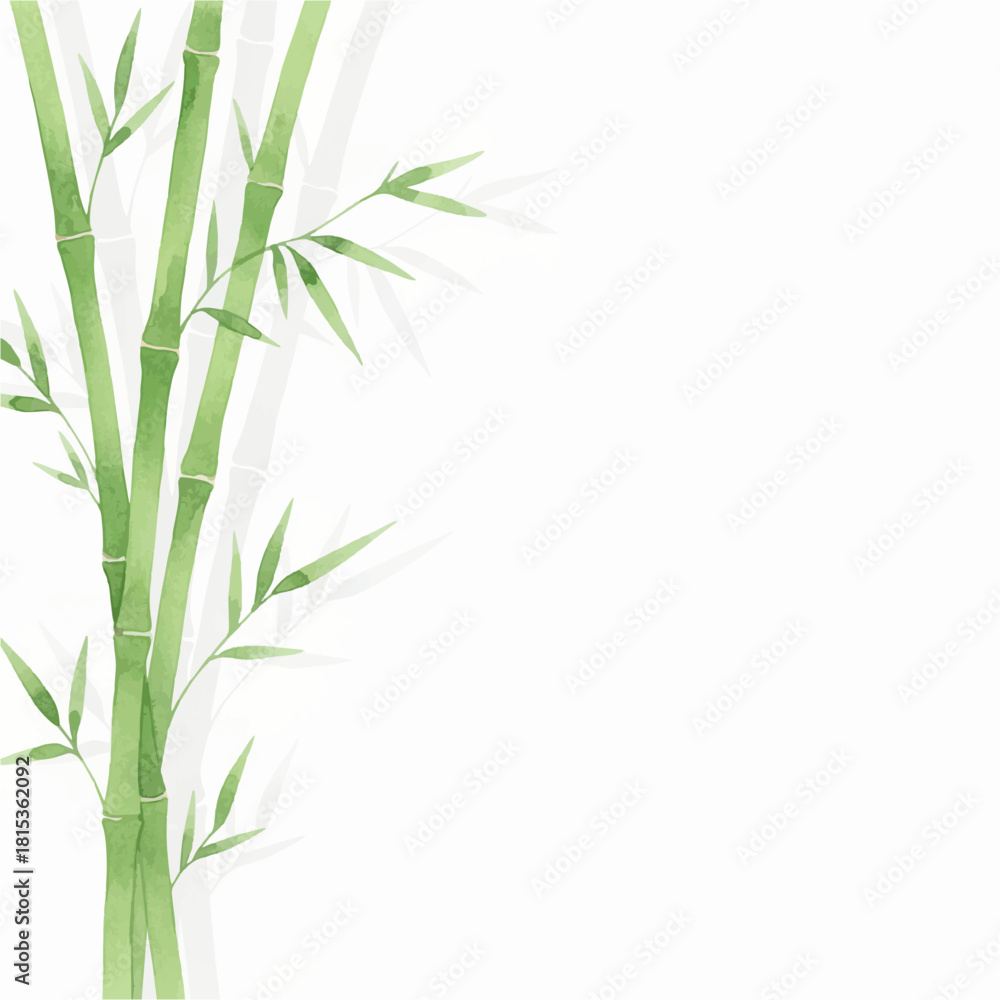 Naklejka premium Watercolor Green Bamboo Frame on Clean White Background