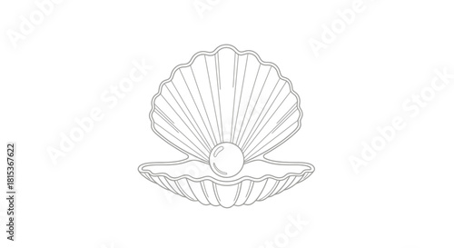 Simple Line Art Illustration of Pearl in Shell