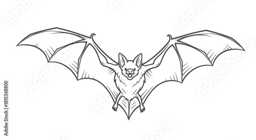 Black and White Illustration of a Flying Bat