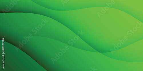 Abstract green wavy background. Vector background.