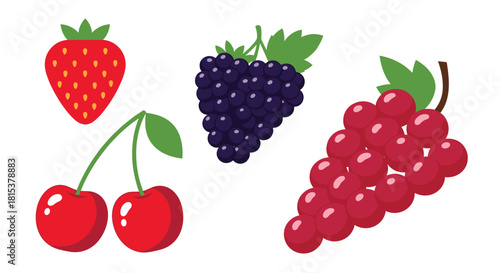A simple and colorful cartoon collection of fresh berries and fruits including a strawberry cherry grapes and blackberry.