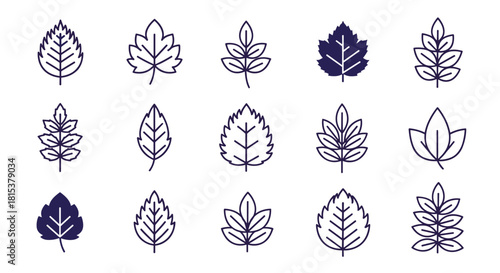 A collection of fifteen leaf icons in a clean minimalist design featuring both outline and solid fill styles.
