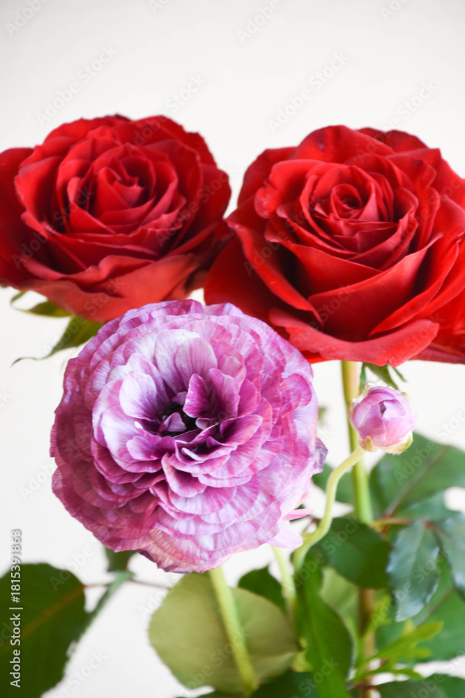 Fototapeta premium 薔薇とラナンキュラス