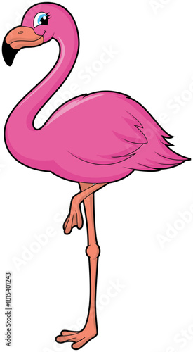 Cute flamingo
