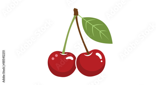 Two ripe red cherries with a green leaf and stem on a white background.