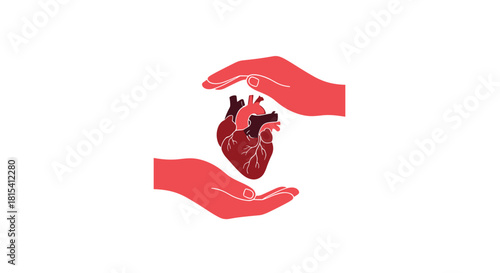 Two red hands gently cradle a realistic human heart symbolizing care and protection.