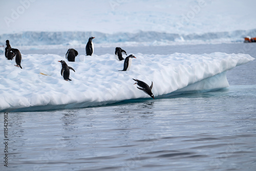 Group of penguins on an iceberg in Antarctica