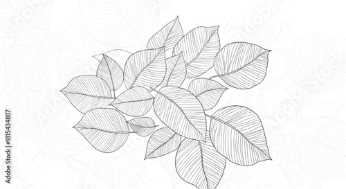 Elegant botanical background featuring a central cluster of detailed, hand-drawn leaves with a subtle leaf pattern overlay.